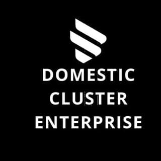 Domestic Cluster Enterprise logo