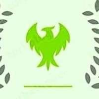 Phoenix Finserv logo