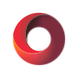 DDN logo
