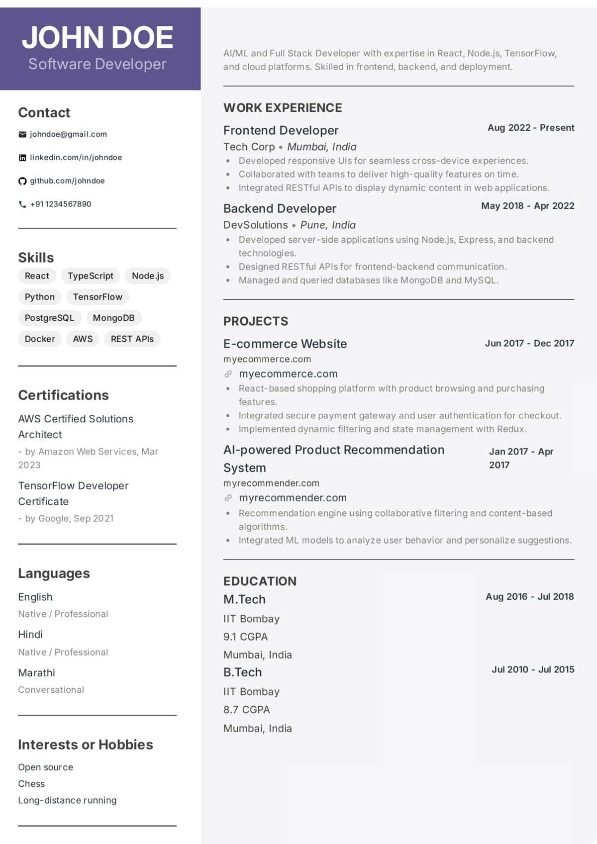 Abekus Sleek Simplicity Professional resume template