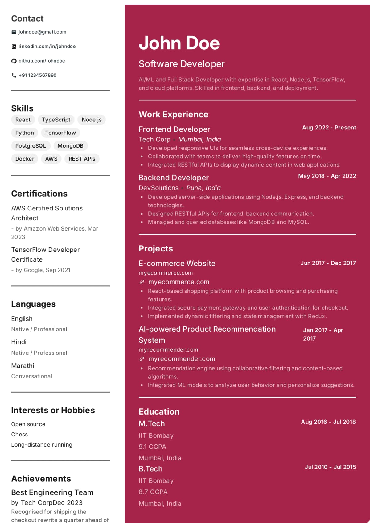 Abekus Professional Edge Professional resume template