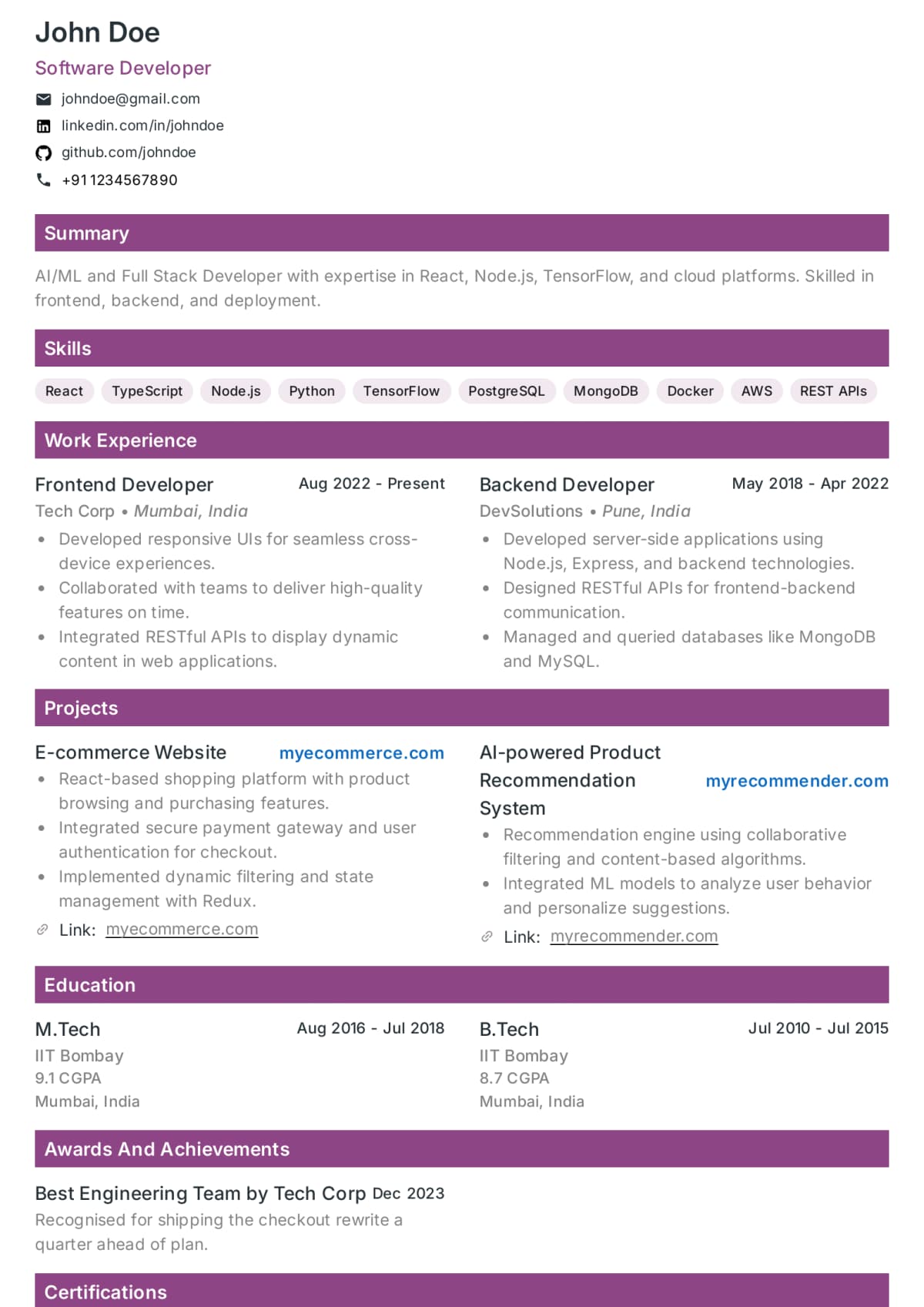 Abekus Metro Professional Professional resume template
