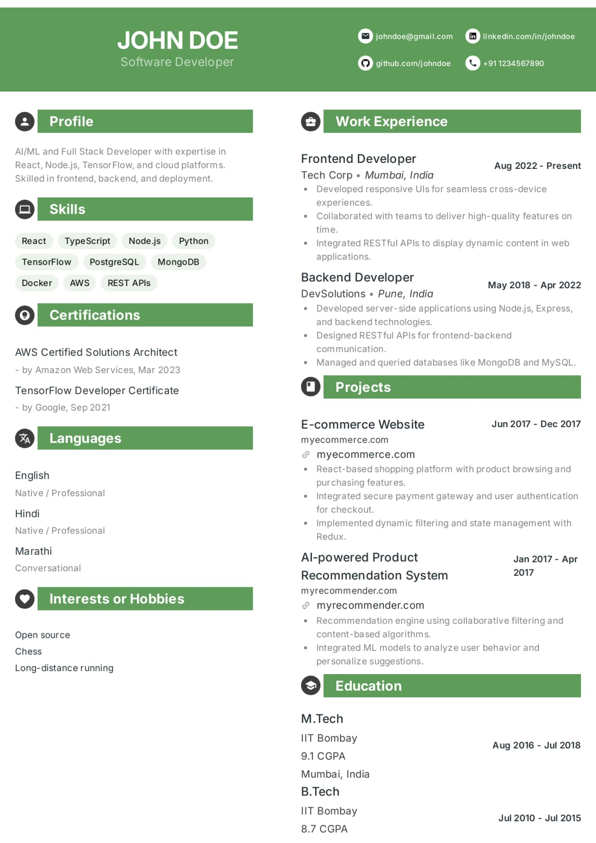 Abekus Zen Professional Professional resume template