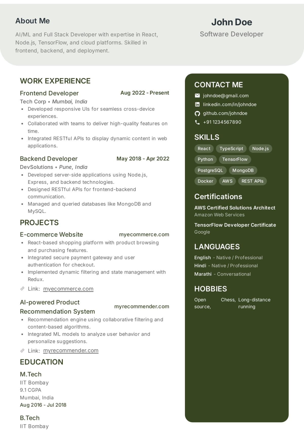 Abekus Sleek Modern Modern resume template