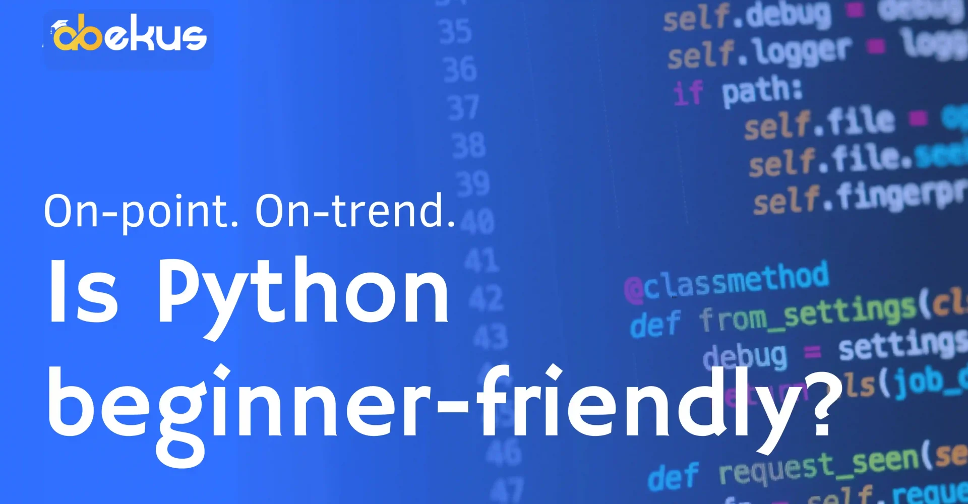 is python beginner friendly